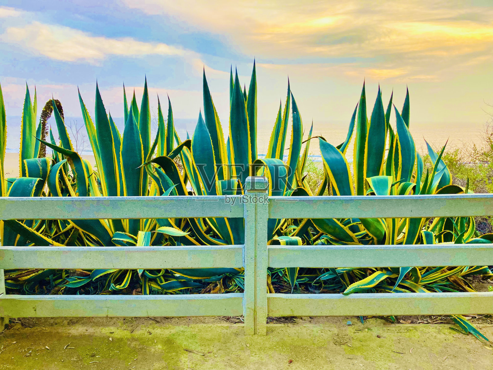 栅栏照片摄影图片