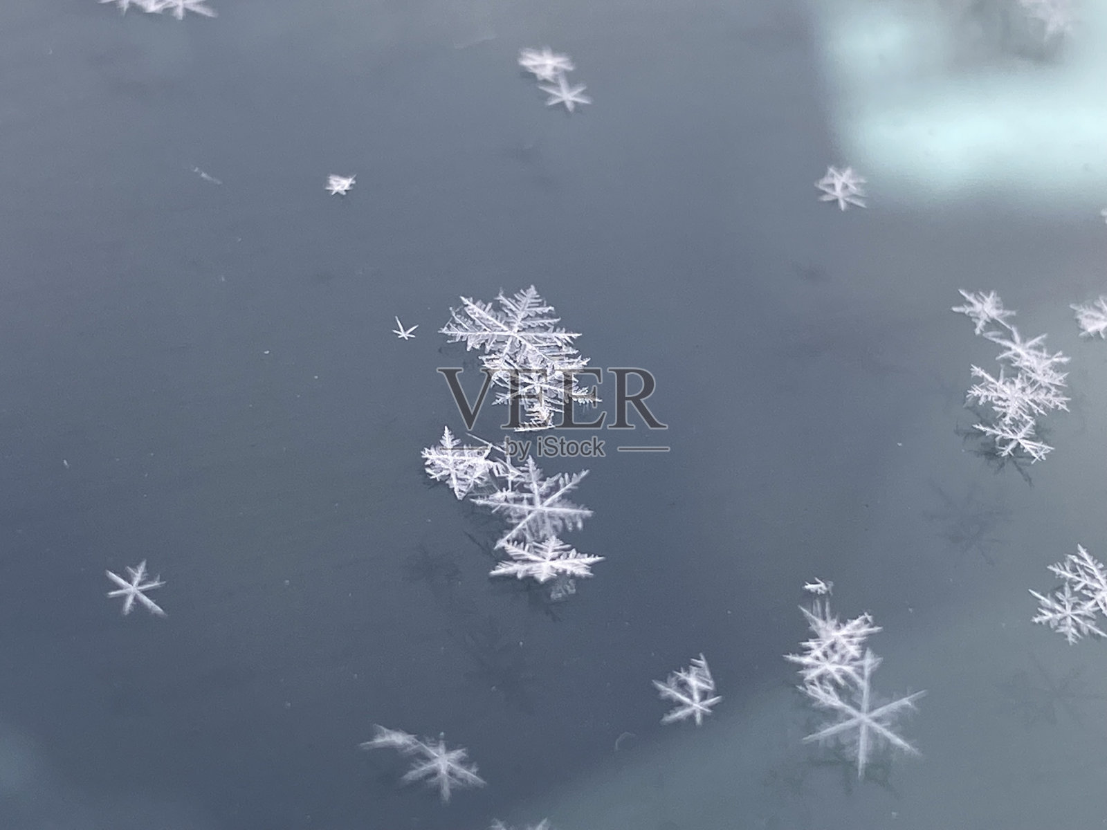 雪花关闭照片摄影图片