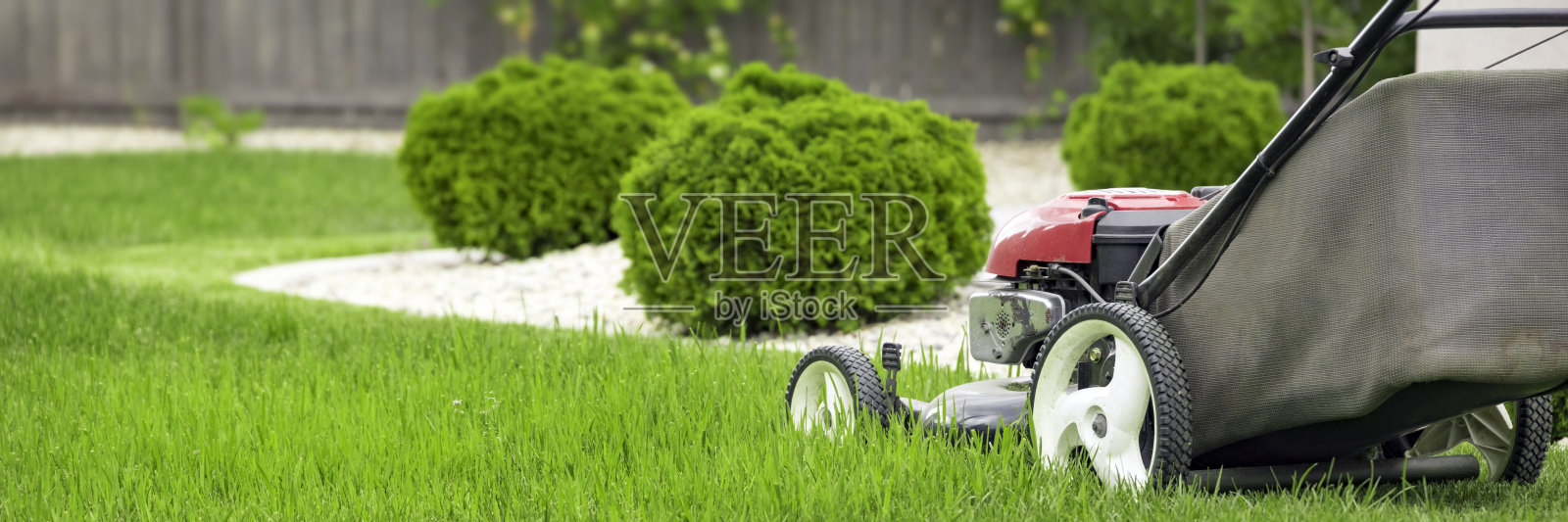 修剪草坪照片摄影图片