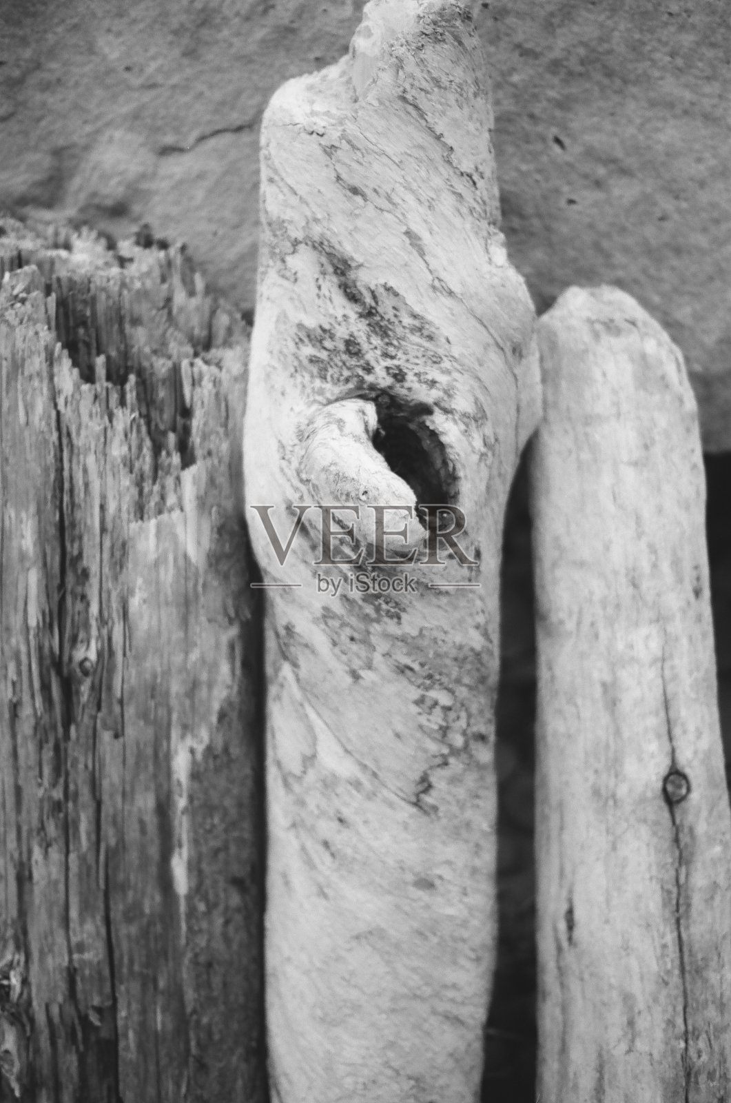 浮木音调照片摄影图片