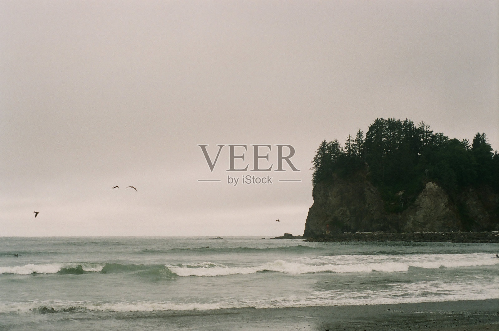 在拉普什的海滩度过夏天照片摄影图片