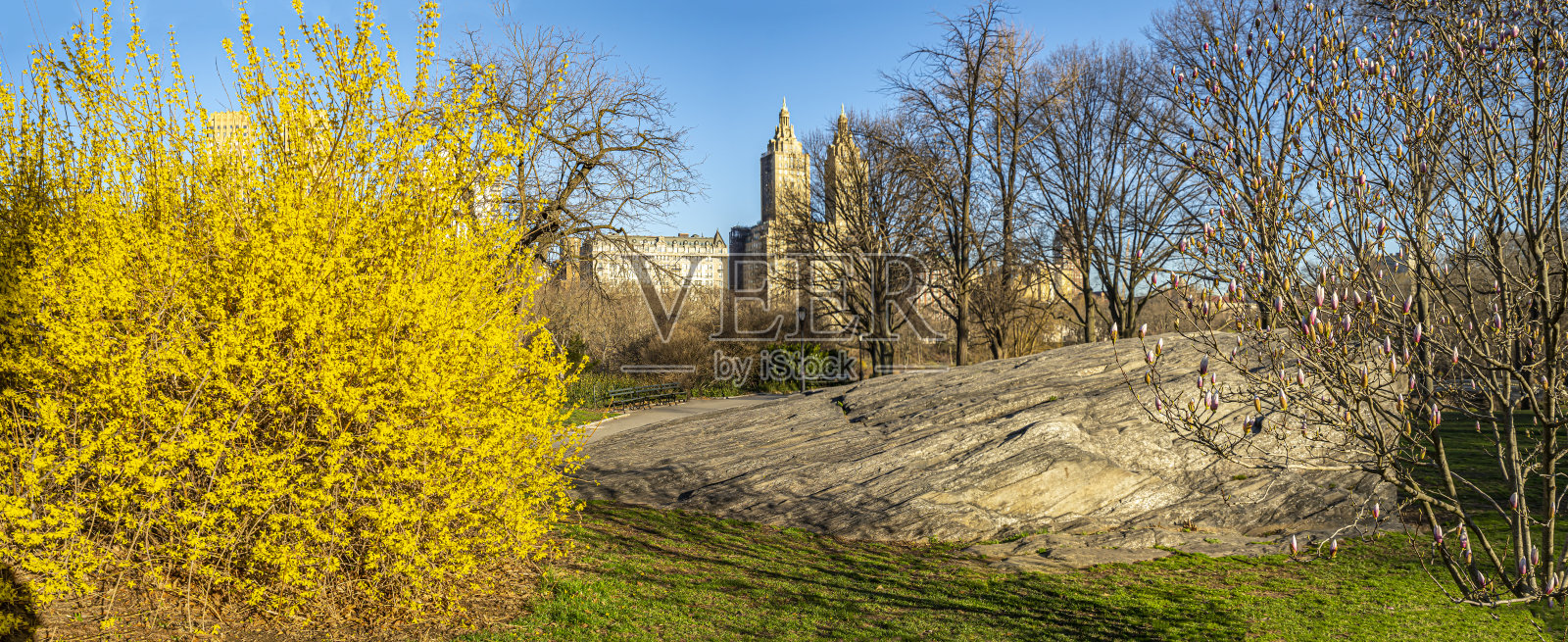 春天的中央公园尽收眼底照片摄影图片