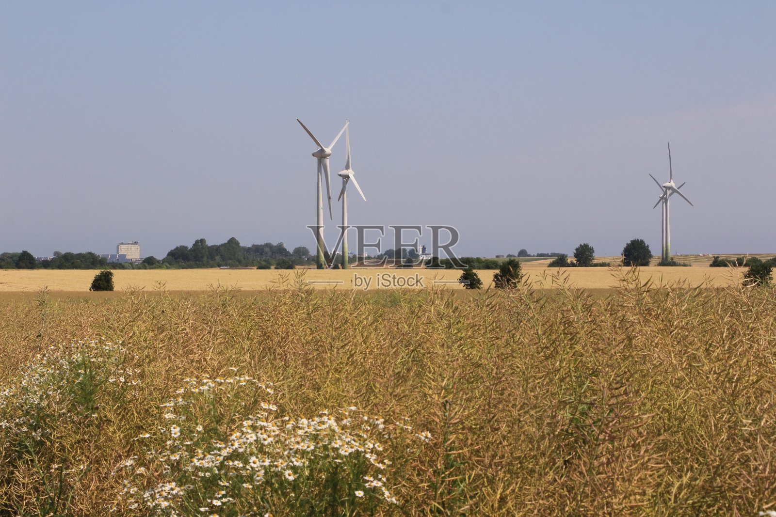 波罗的海的费马恩岛的仲夏时节照片摄影图片