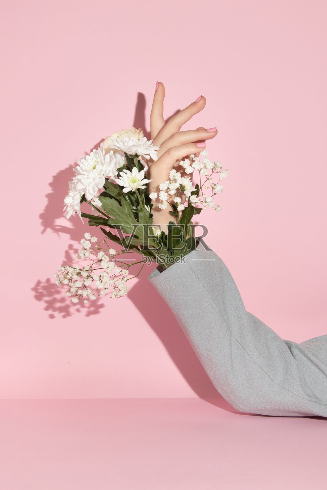 春天的创意布局与花和手在夹克袖子在柔和的粉红色背景。浪漫的时尚审美观念。最小的开花的想法。照片摄影图片