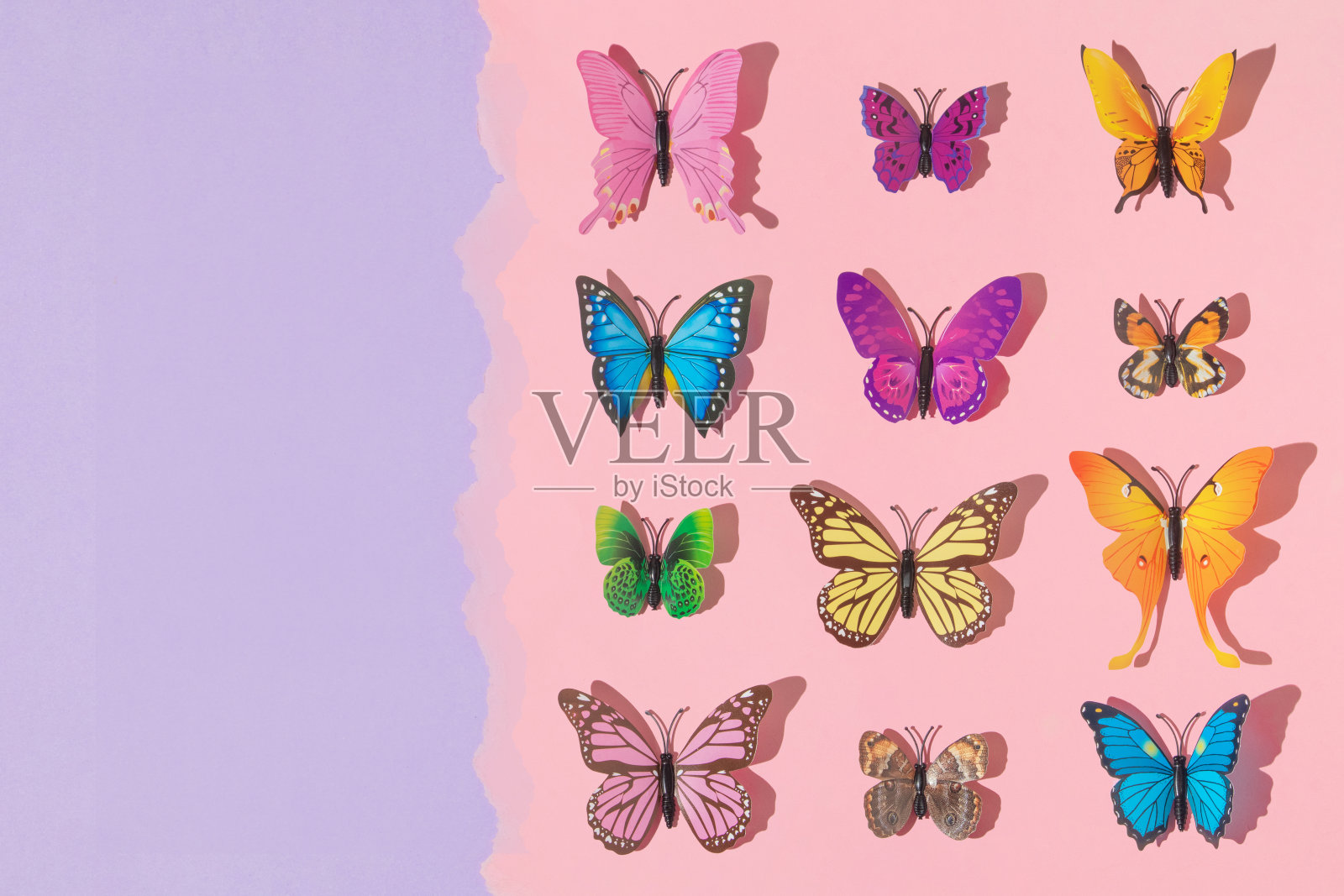 春天的创意布局与彩色蝴蝶在柔和的粉红色撕碎的纸和紫色的背景。80年代、90年代复古浪漫唯美的夏日概念。简约超现实的时尚理念。照片摄影图片