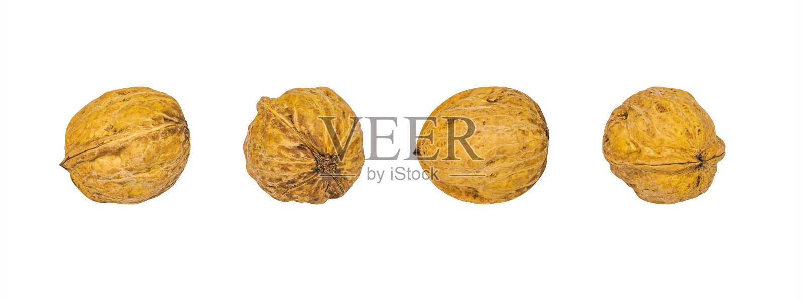 一组孤立在白色背景上的核桃图像。照片摄影图片