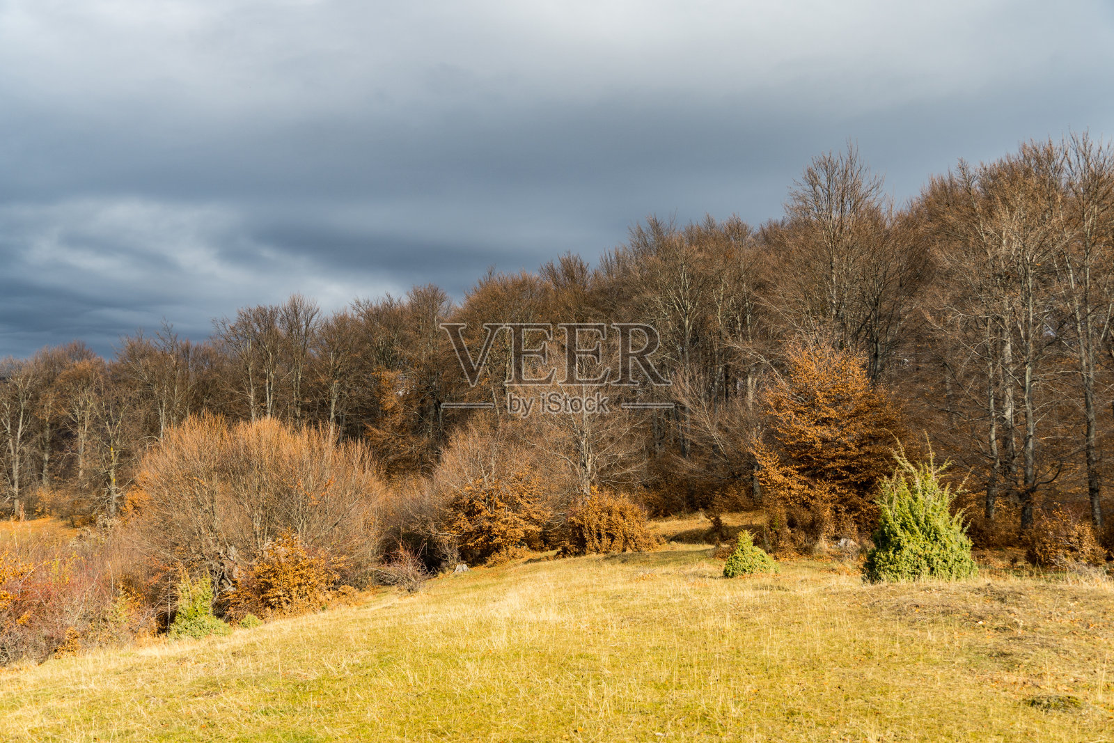罗马尼亚阿格斯村照片摄影图片