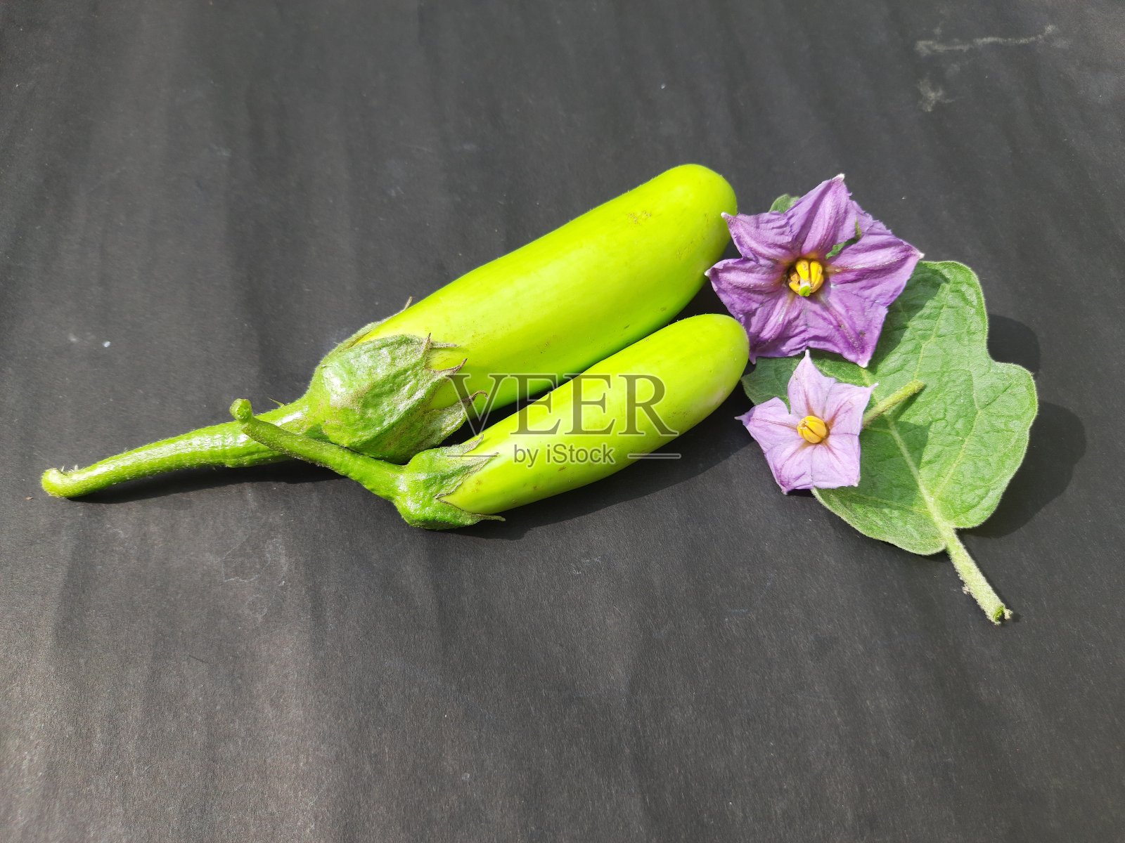 黑色背景花茄子。照片摄影图片