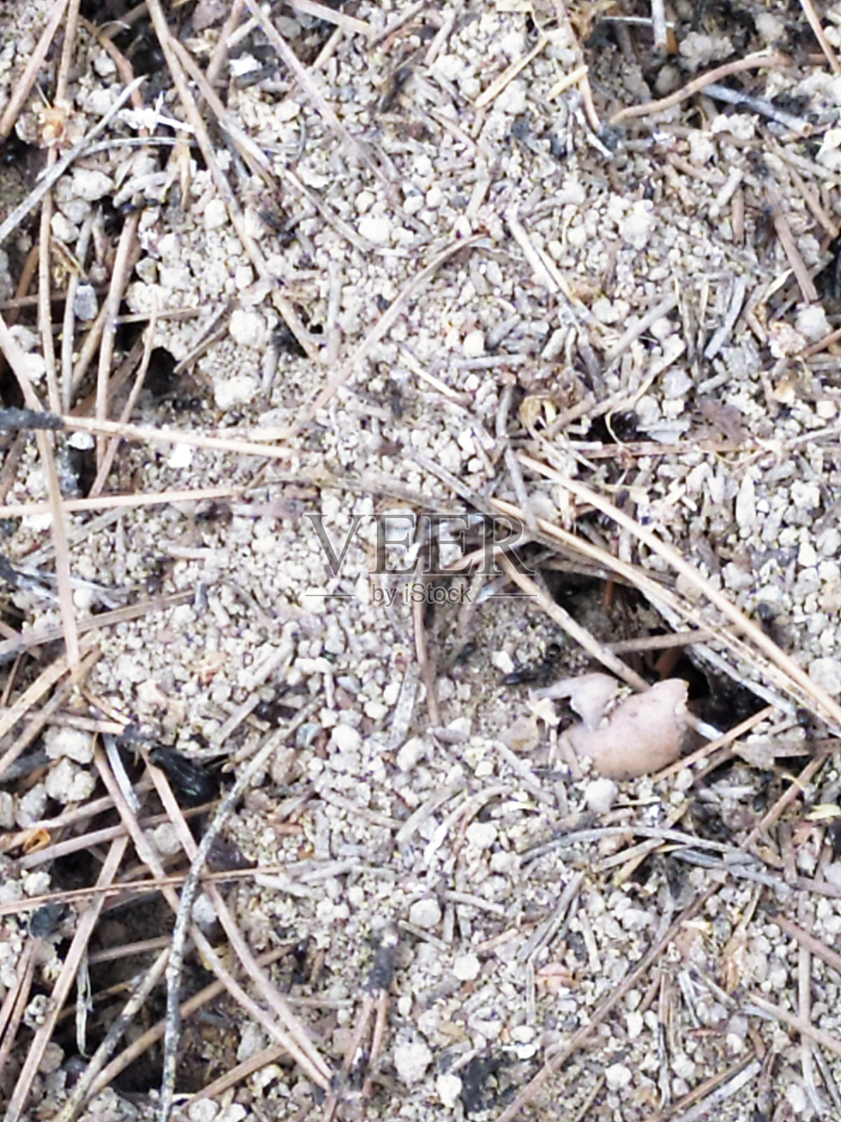 人群密集的地方照片摄影图片