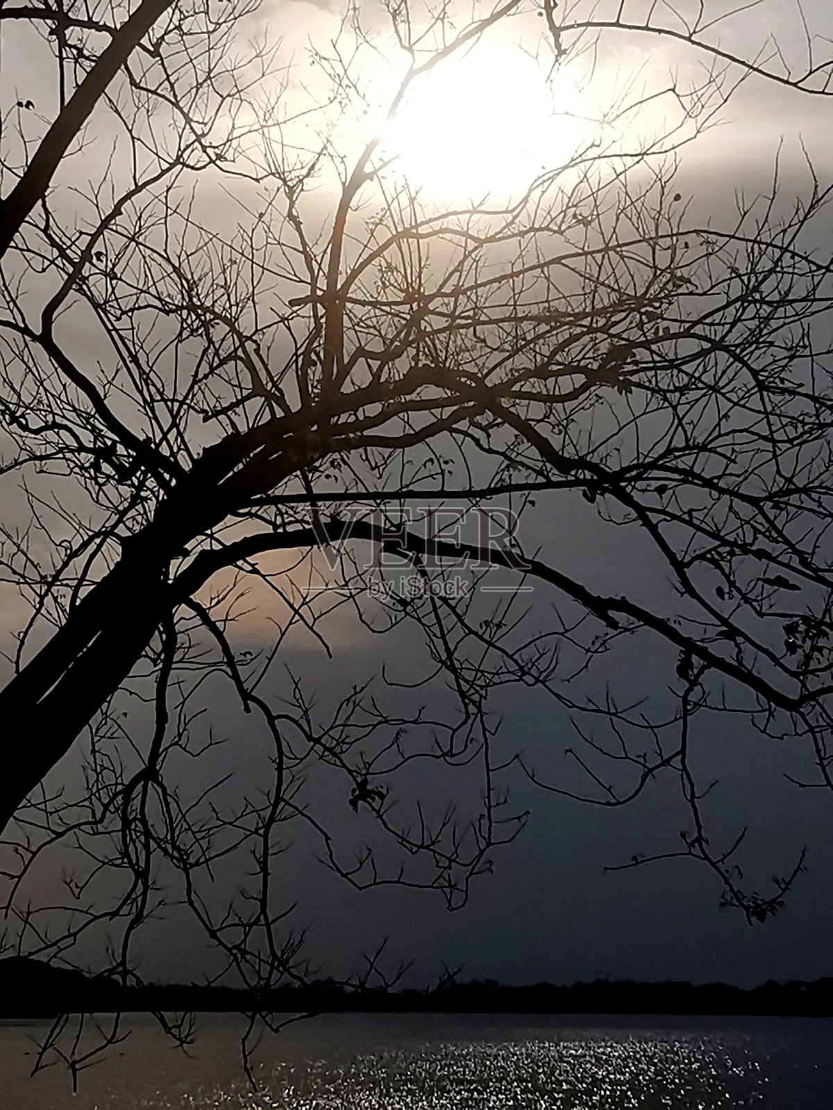 有阴影的树木线照片摄影图片
