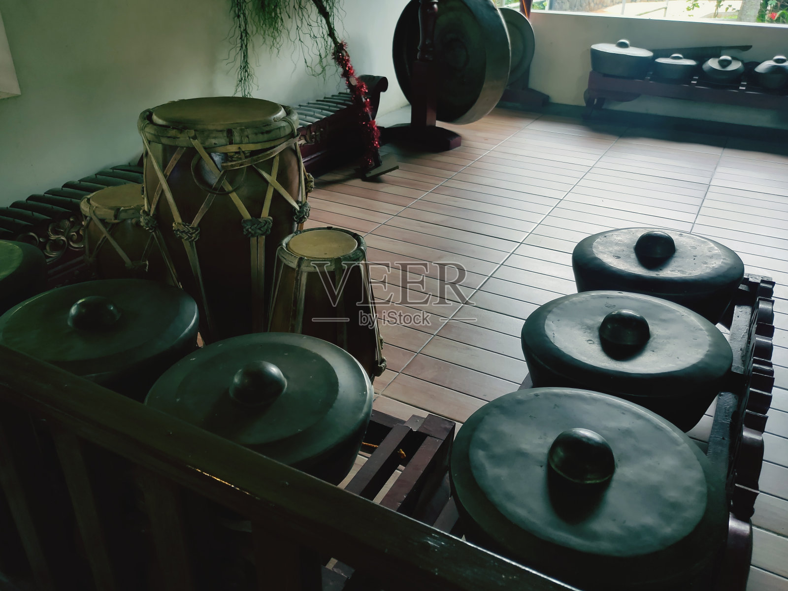 佳美兰照片摄影图片