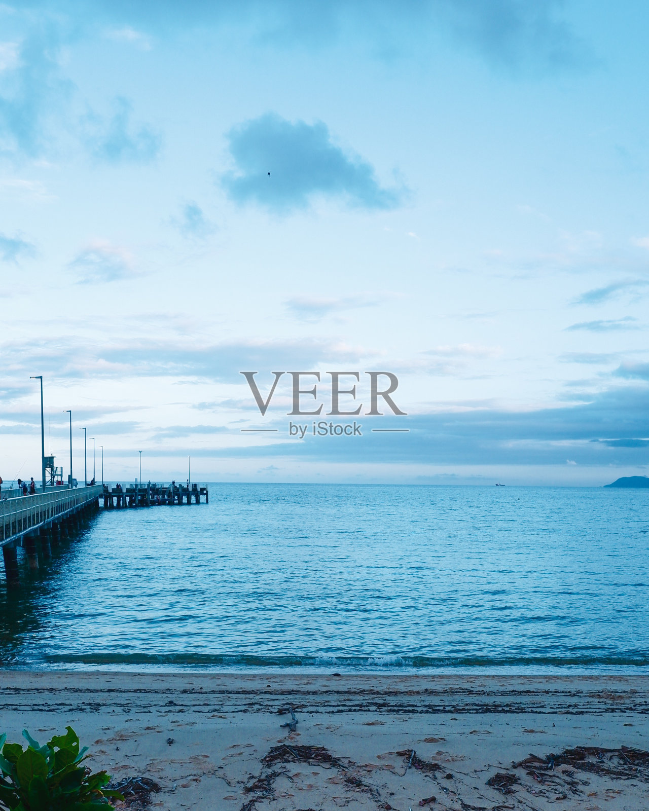 棕榈湾码头凯恩斯照片摄影图片