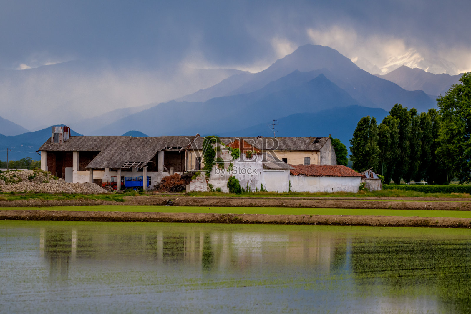 稻田02照片摄影图片