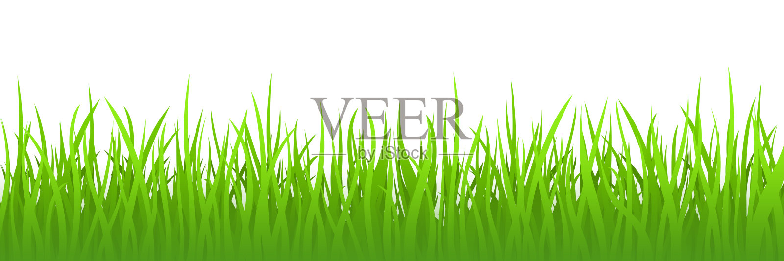白色背景上的绿色草地，全景插画图片素材