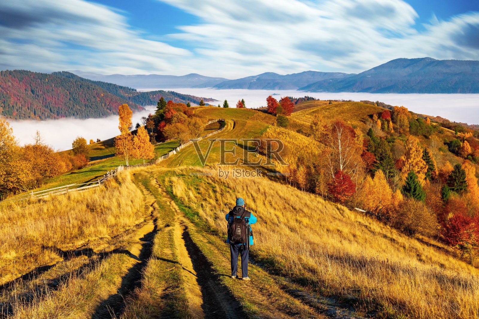 摄影师在地面道路上拍摄秋天的风景照片摄影图片