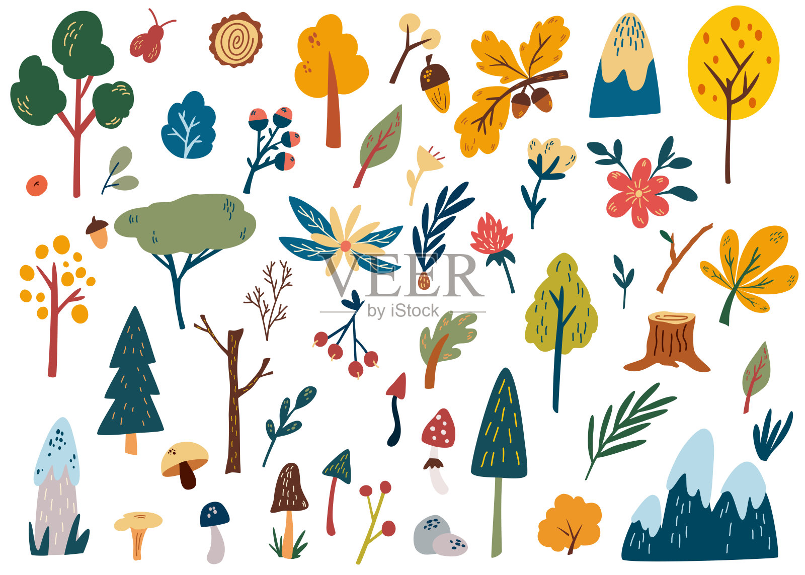 森林植物剪贴画收集。手绘林地树木，香草，蘑菇，花，树枝，浆果，叶子。针叶林和落叶。野生植物。向量卡通插图。插画图片素材