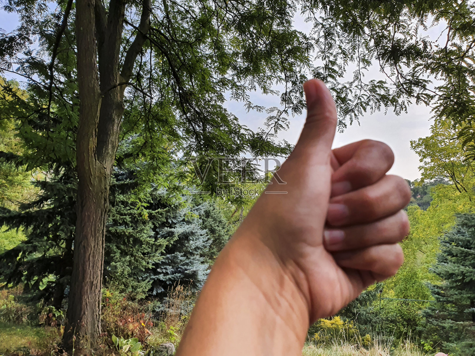 在乡下竖起大拇指照片摄影图片