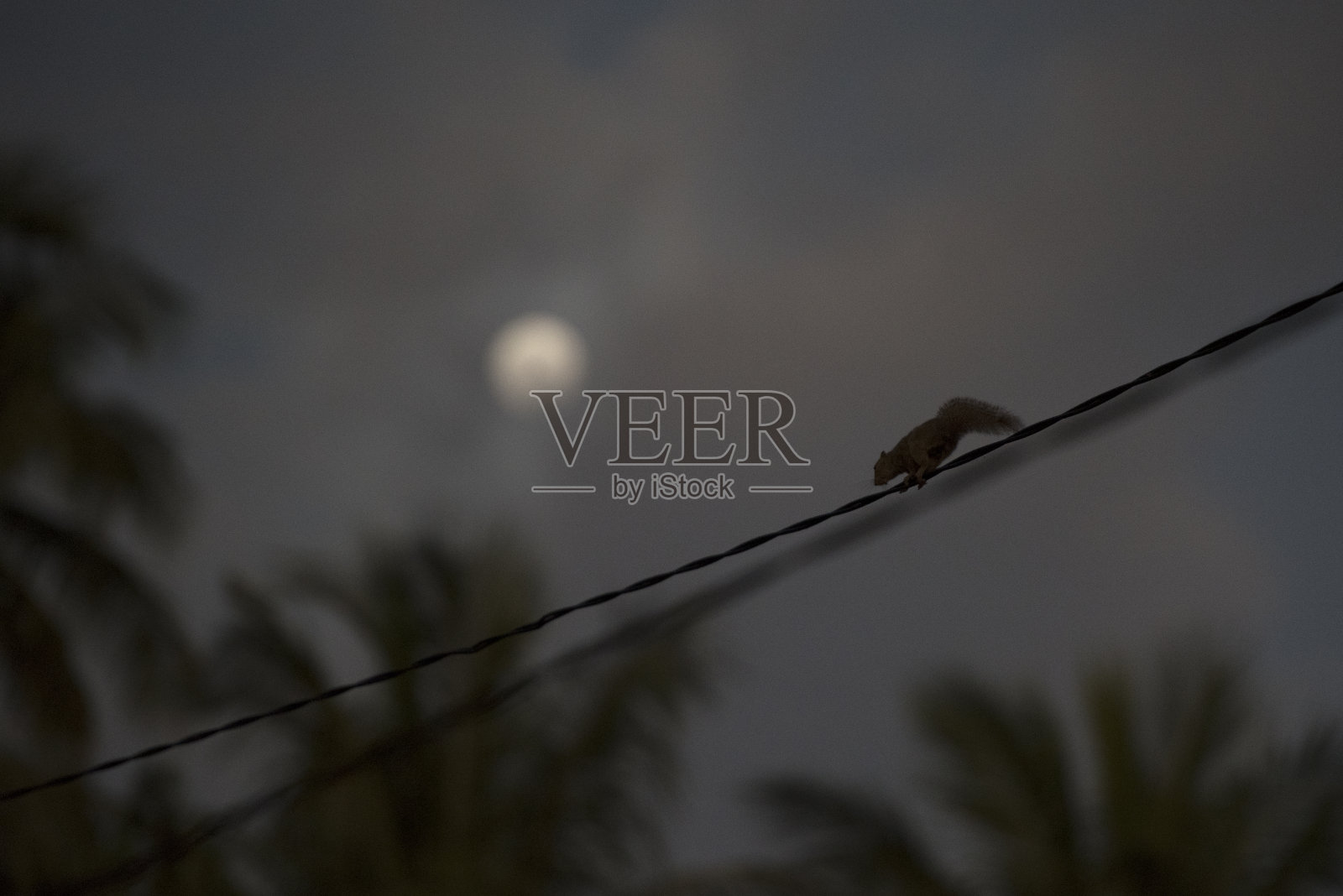 满月照片摄影图片