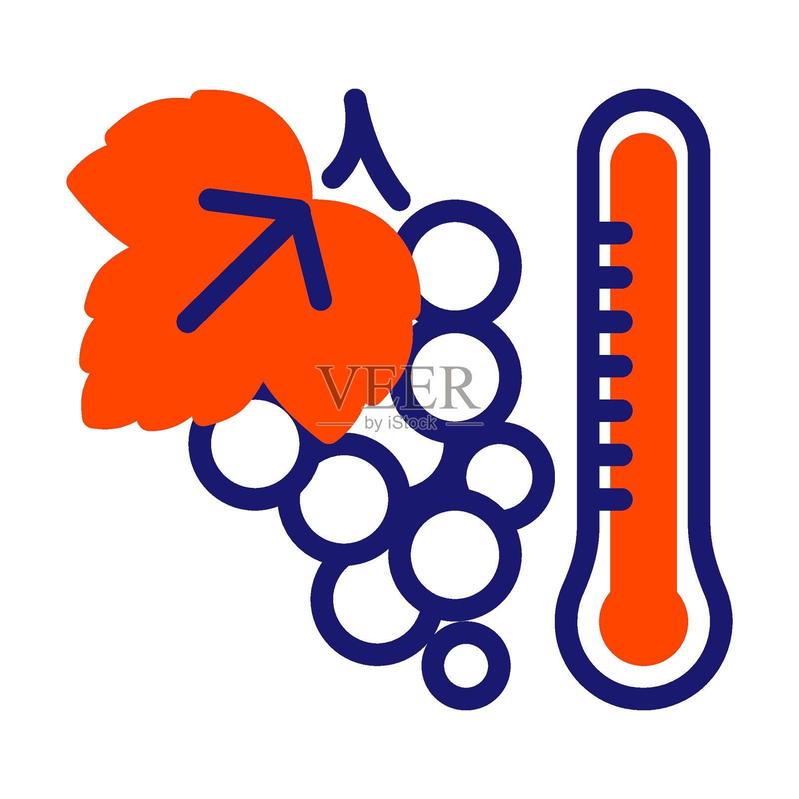 串葡萄和温度计线图标插画图片素材