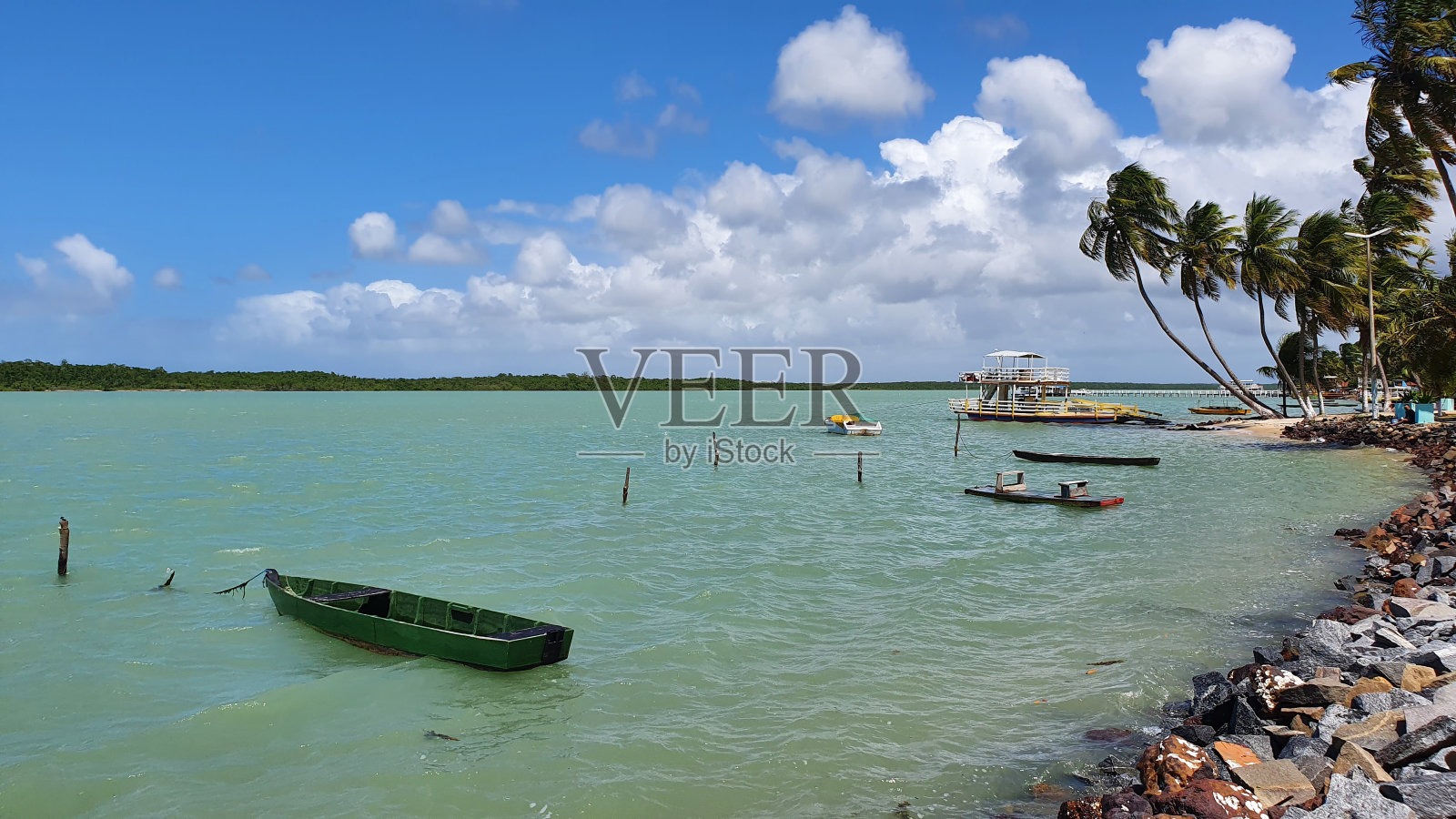 河口水生态系统照片摄影图片
