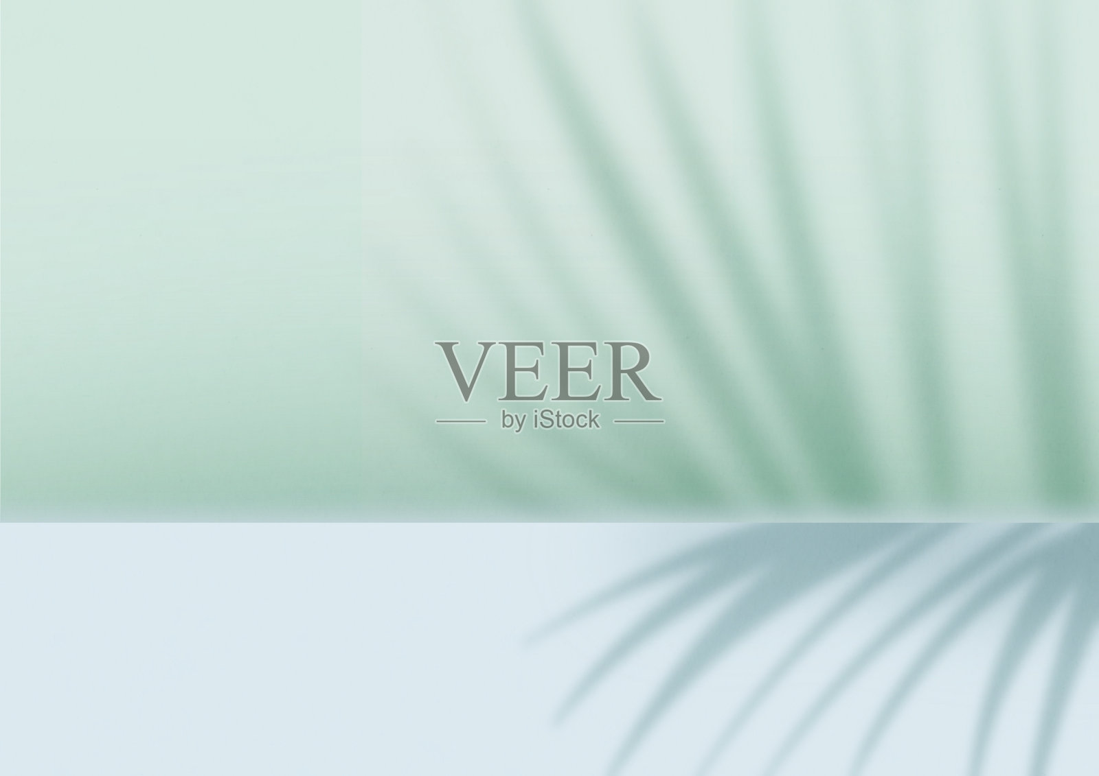 阴影的叶子背景插图设计插画图片素材