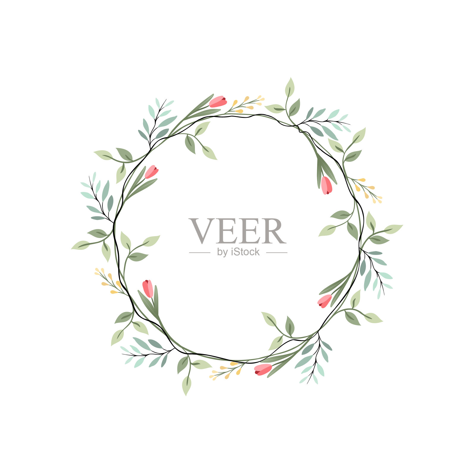 郁金香，桉树和炼金术花花环。绿色装饰常春藤。春花圆镜框。爬行植物平面矢量插图插画图片素材