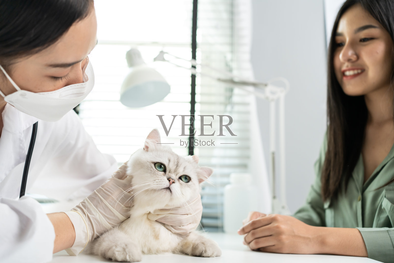 亚洲兽医在预约的兽医诊所检查猫。在宠物医院，专业的女兽医坐在桌子上，和主人一起抚摸和安抚小猫，检查动物。照片摄影图片