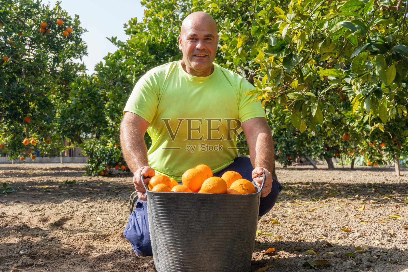 一位男性农民，手里拿着一篮天然的有机橙子。照片摄影图片