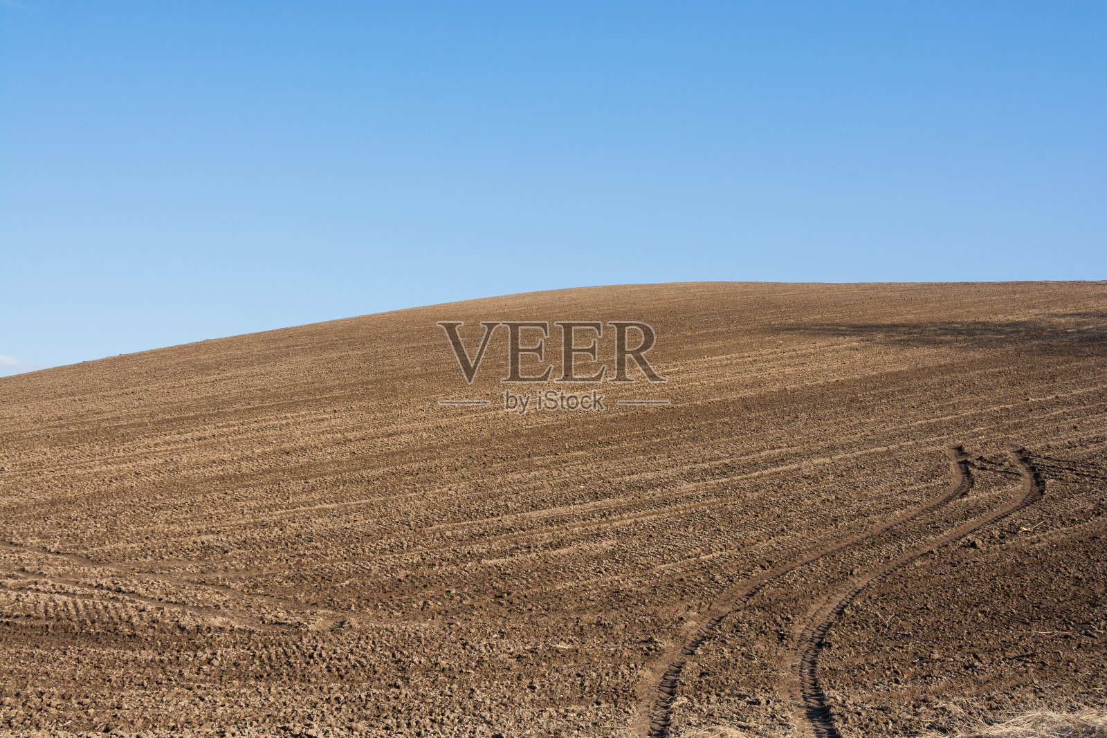春天的田野里阳光明媚照片摄影图片