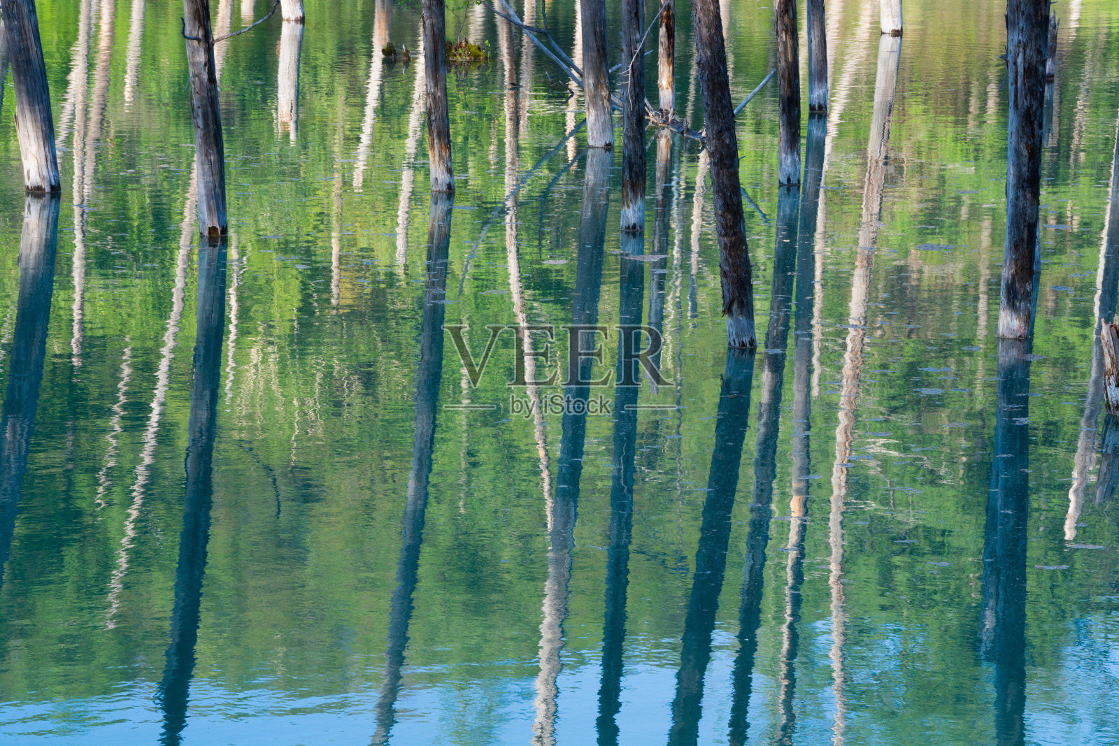 蓝色池塘的水面，映照着春天的青山照片摄影图片