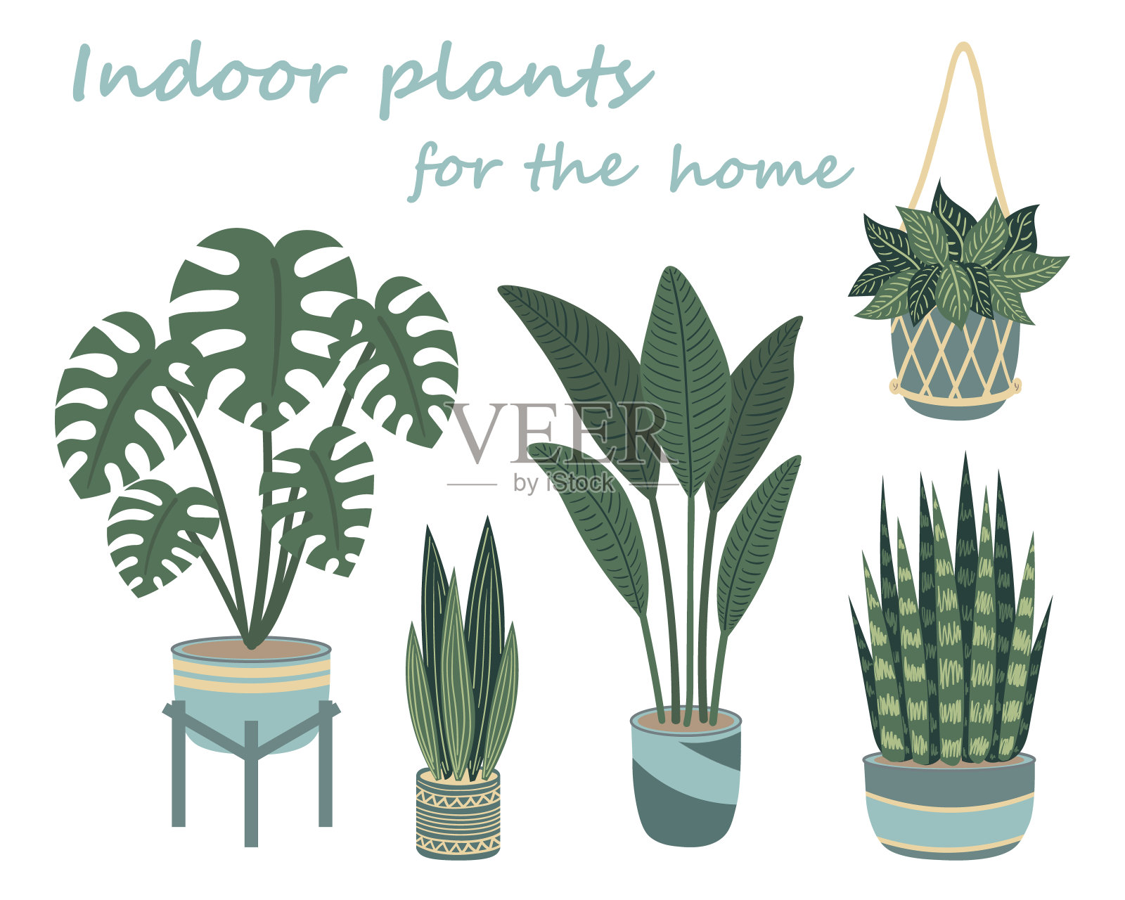 盆栽一套室内盆栽植物插画图片素材