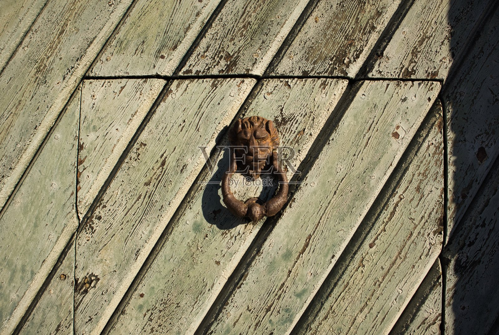 狮子贝尔照片摄影图片