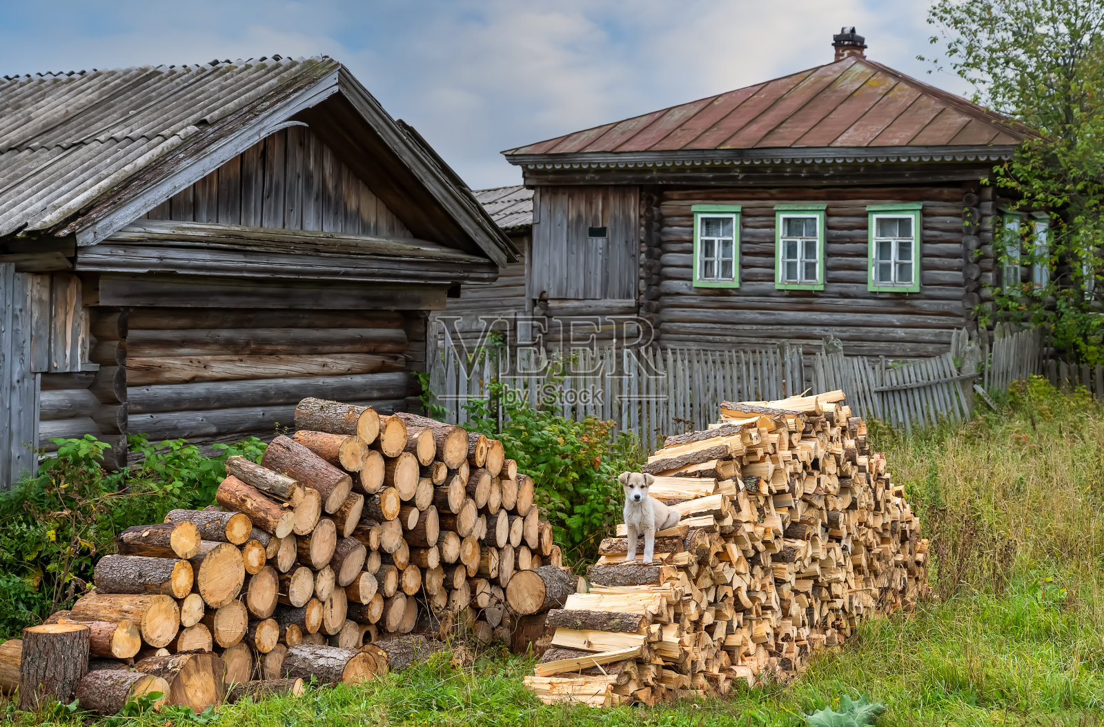 在一个秋日阳光明媚的日子里，新准备的树莓柴火在村庄的房子附近过冬照片摄影图片