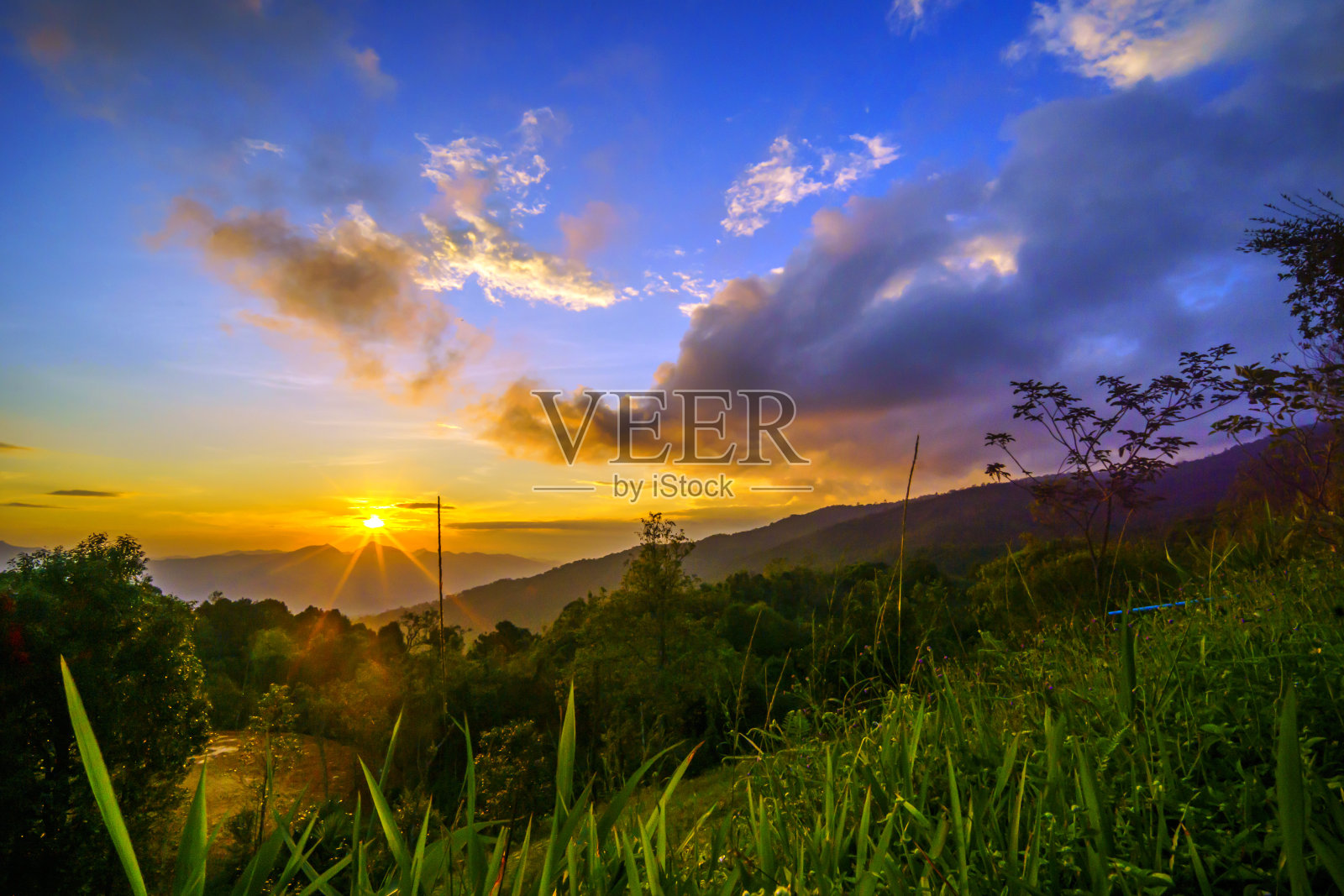 金色阳光洒在蓝色海面上，山丘和棕榈树沐浴在夕阳中照片摄影图片