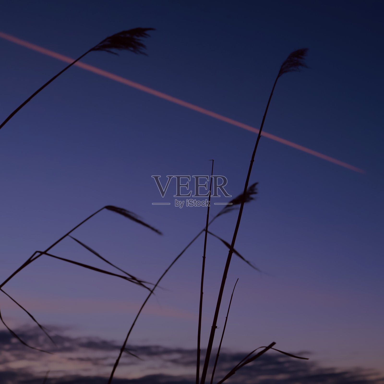 粉色飞机照片摄影图片