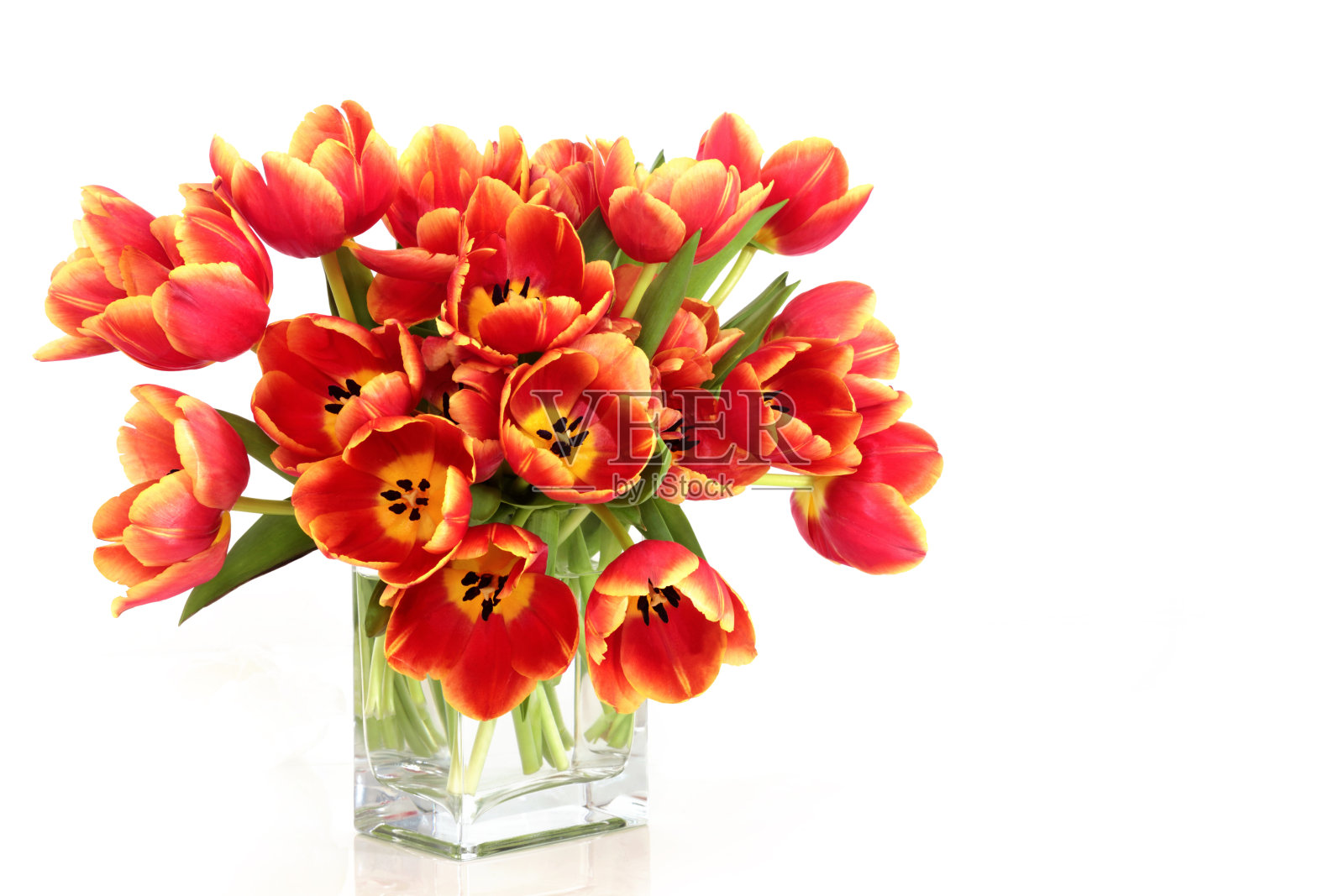 母亲节及春季红郁金香插花照片摄影图片