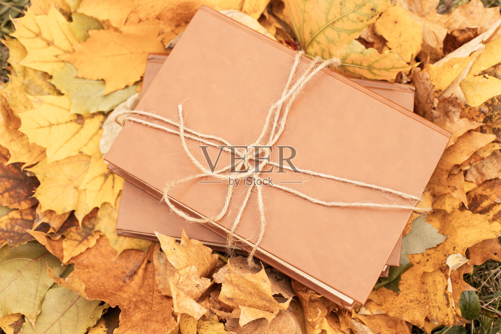 一堆书躺在一堆秋叶上照片摄影图片