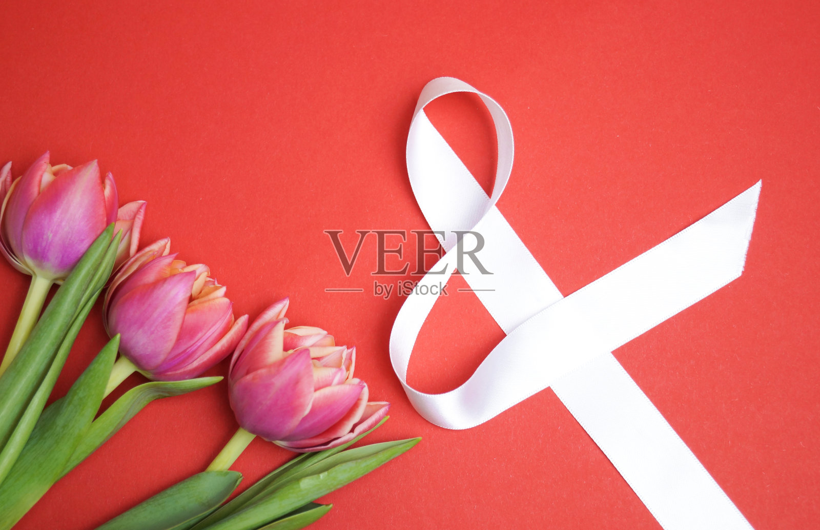 粉色郁金香和红色背景的白色丝带上的数字8。3月8日。照片摄影图片