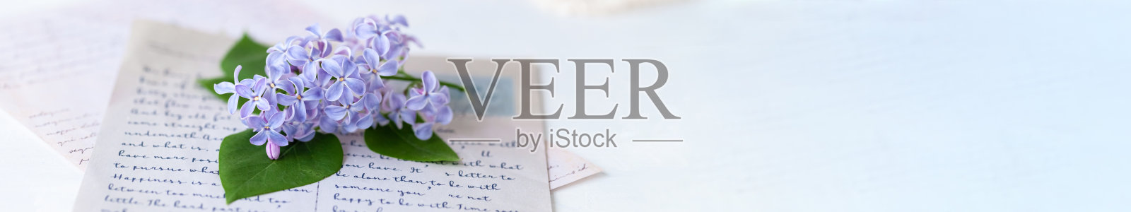 美丽清新的紫丁香花束在金属浇水。模板园艺，春天的时间。情人节贺卡，3月8日，妇女节，母亲节。白色背景,横幅照片摄影图片