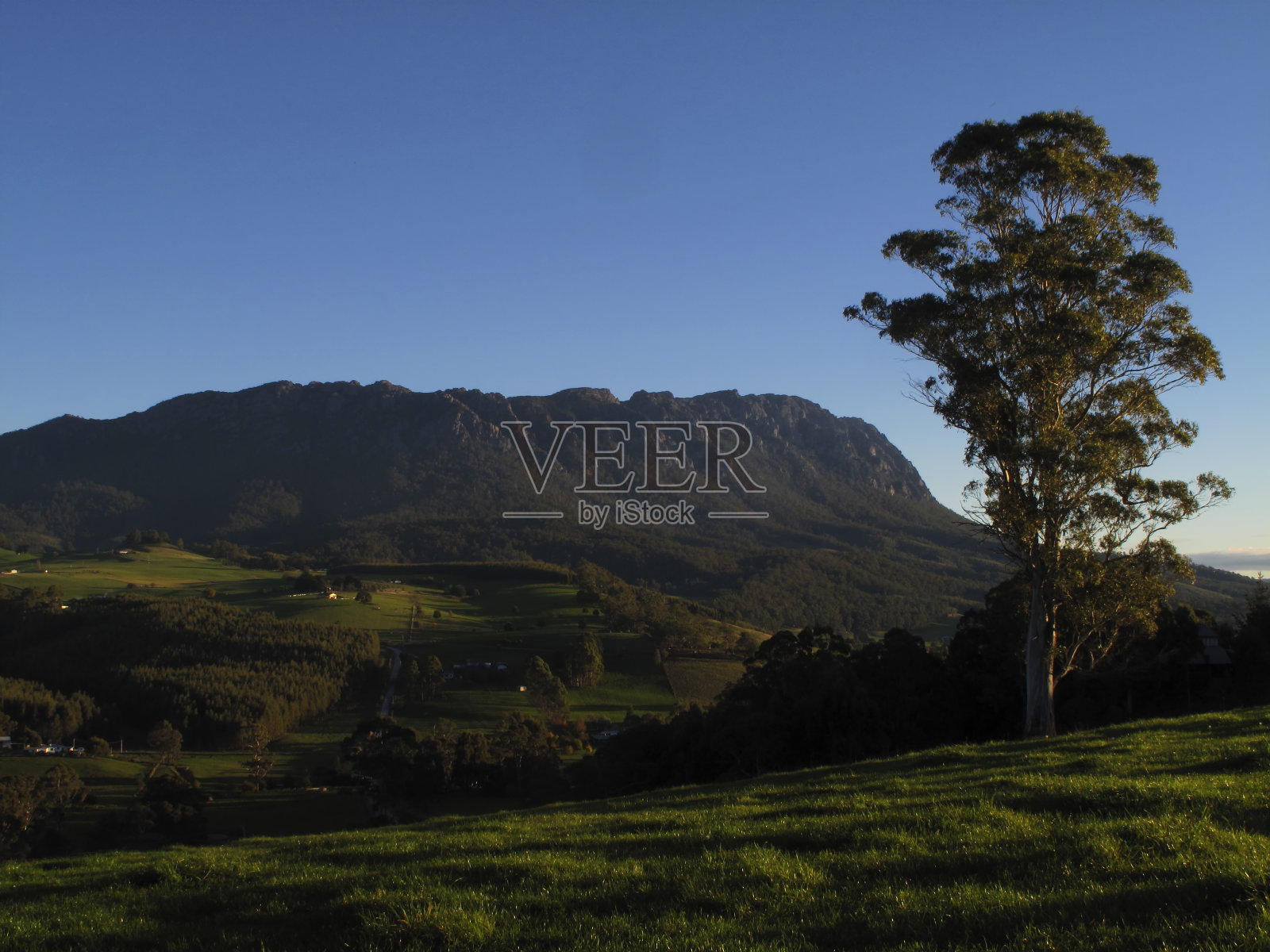 塔斯马尼亚山景观风景罗兰山牧场照片摄影图片