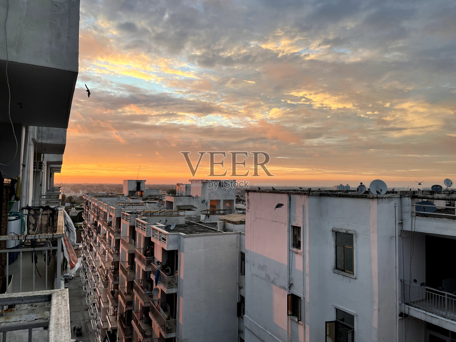 早....照片摄影图片