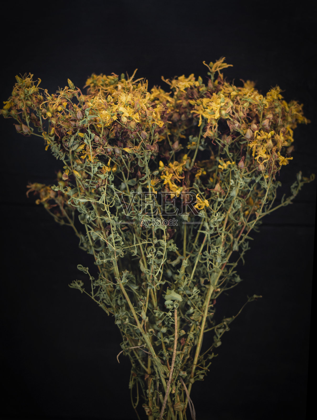 在一张旧木桌上放着风干的圣约翰草花照片摄影图片