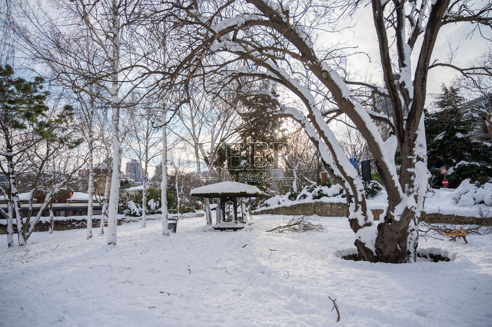 雪覆盖了公园里的树木和地面——雪景照片摄影图片