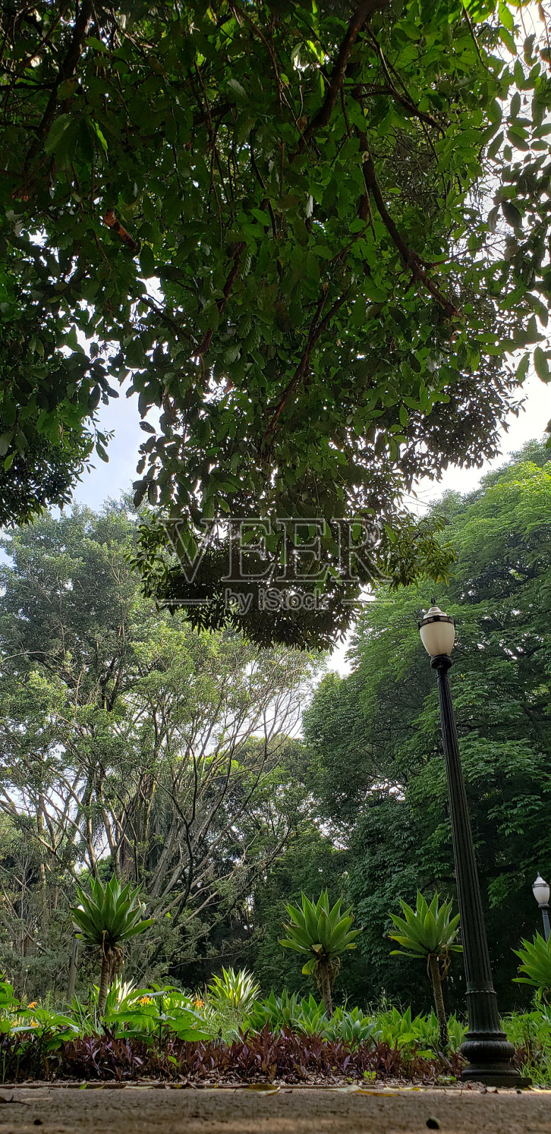 Echologic公园照片摄影图片