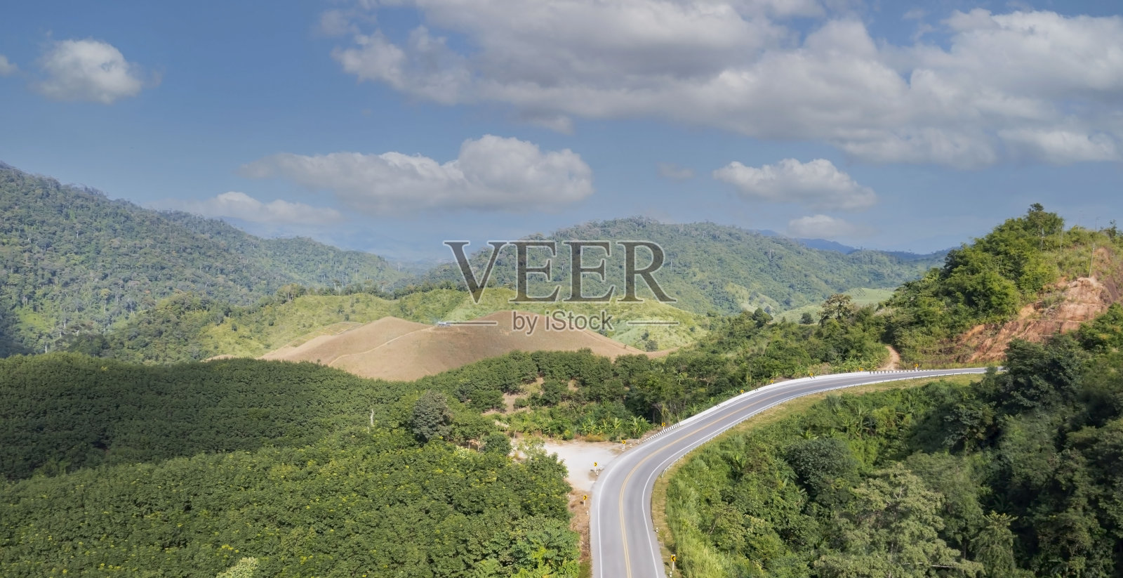 在自然景观的背景下，乡村道路穿过绿色的森林照片摄影图片