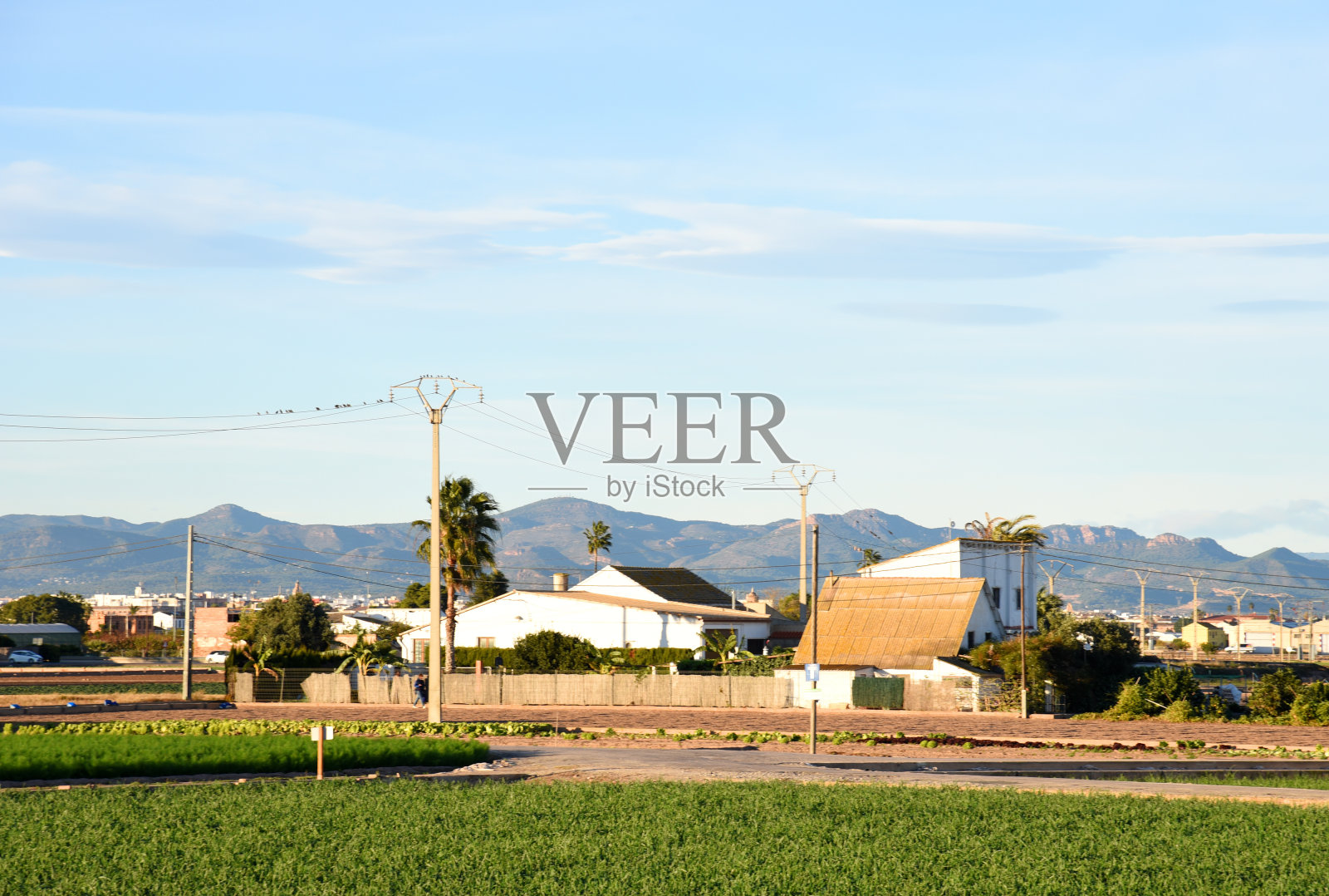 农田和农村农田。西班牙，巴伦西亚，乡间农田里的村舍。照片摄影图片