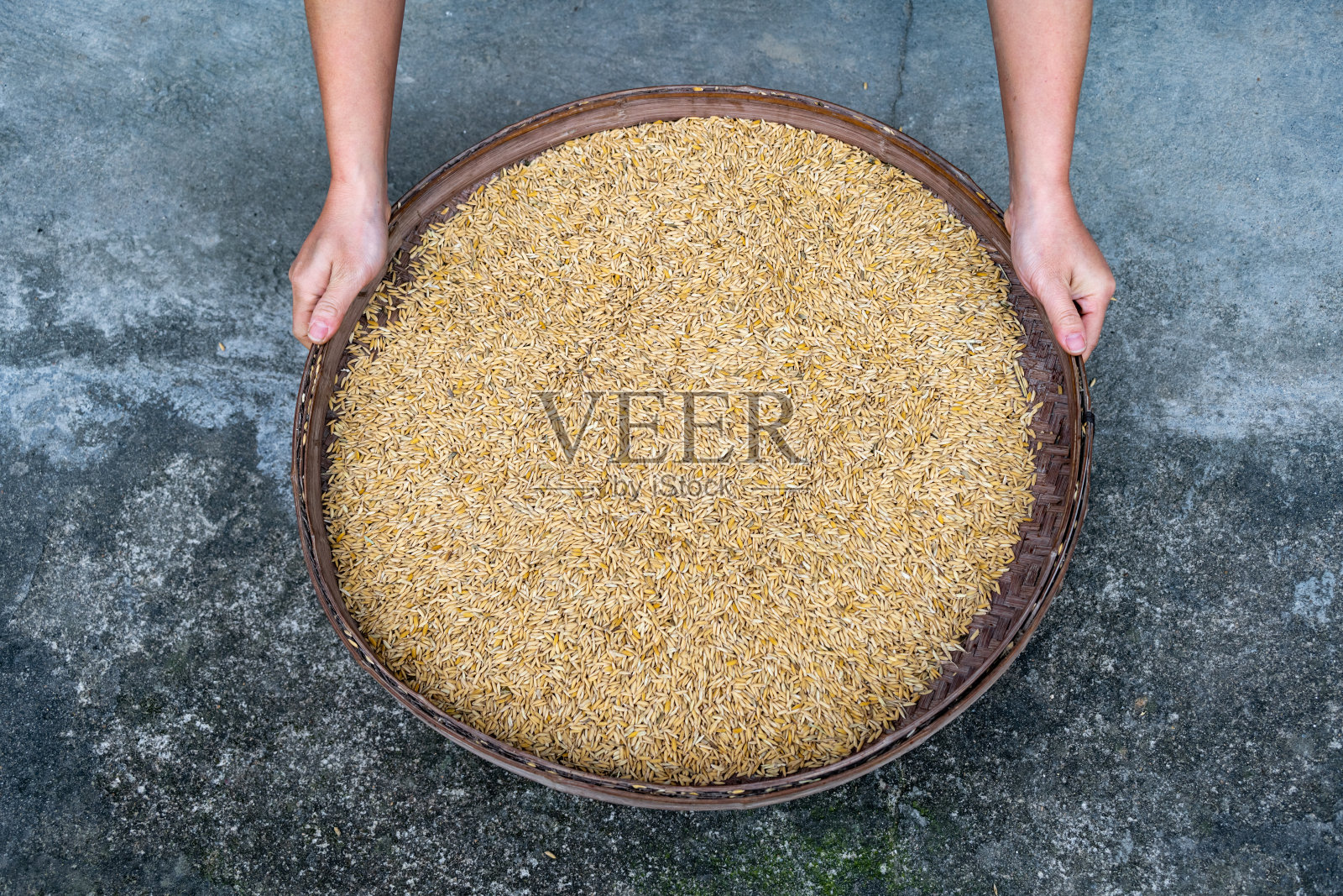 黄金大米的背景照片摄影图片