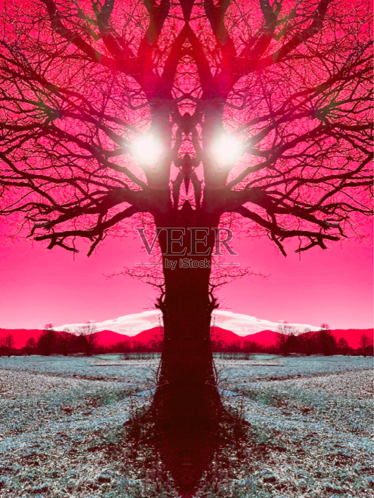 迷幻的幻想照片摄影图片