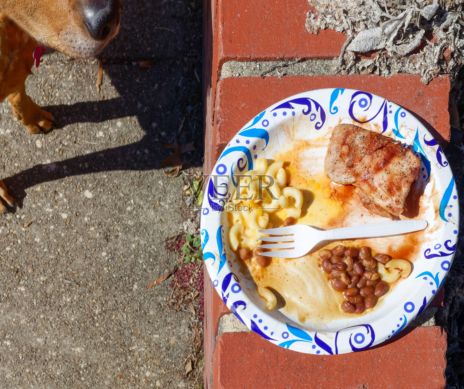 被抛弃的猪排午餐照片摄影图片