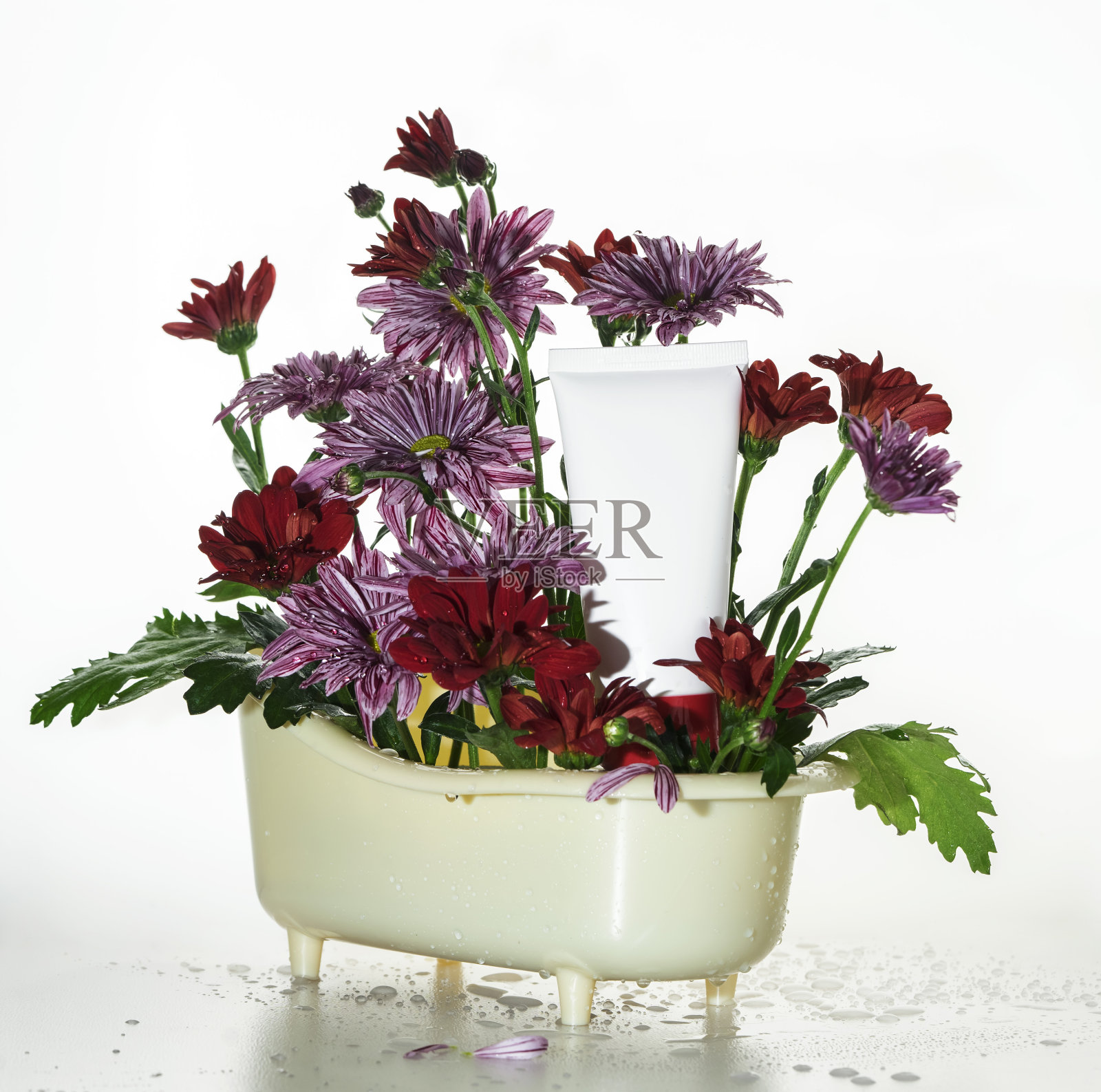 用于水疗、微缩浴和鲜花化妆品展示的成分照片摄影图片